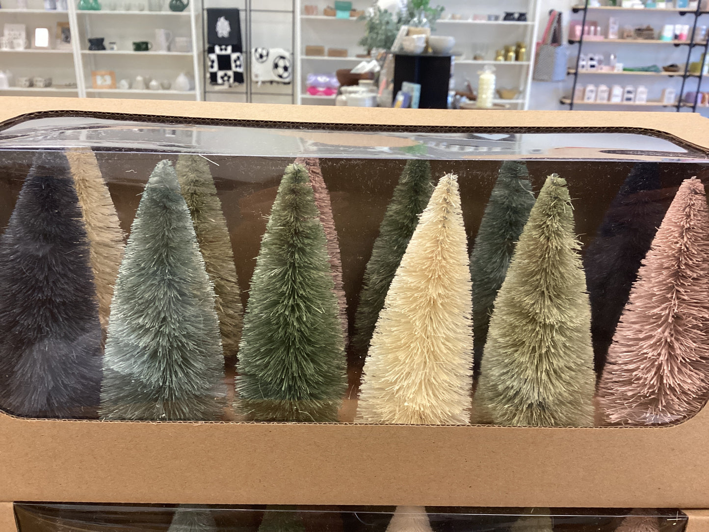 Sisal bottle brush trees w/ wood base/ boxed set