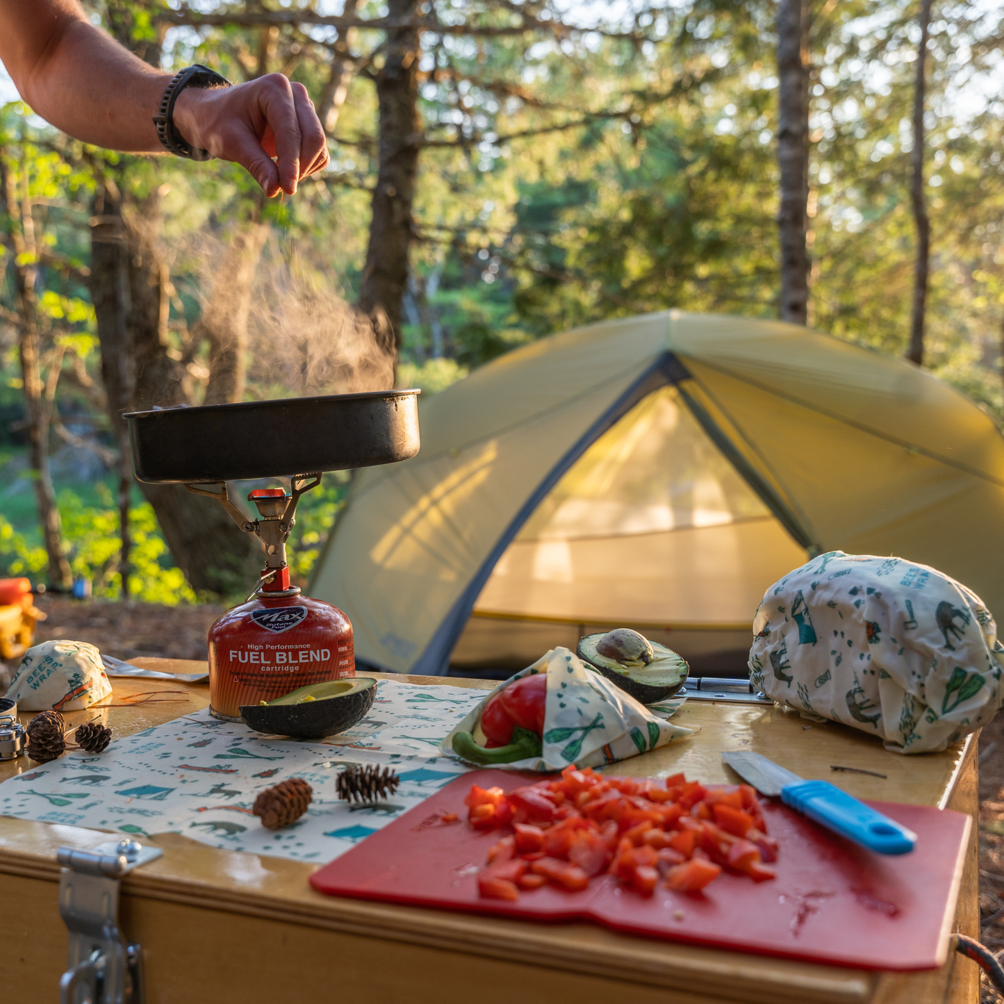 New! Great Outdoors Lunch 3 Pack