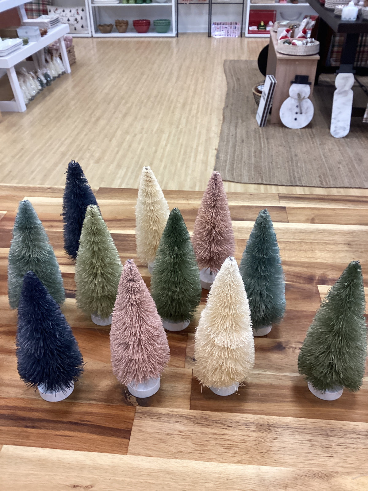 Sisal trees small