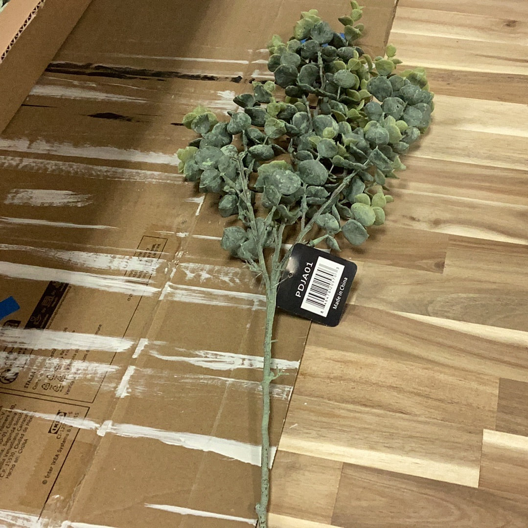 25” eucalyptus spray