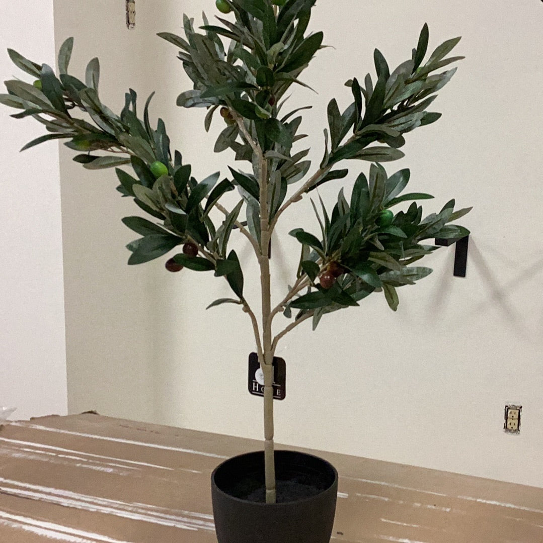 29” olive tree with pot