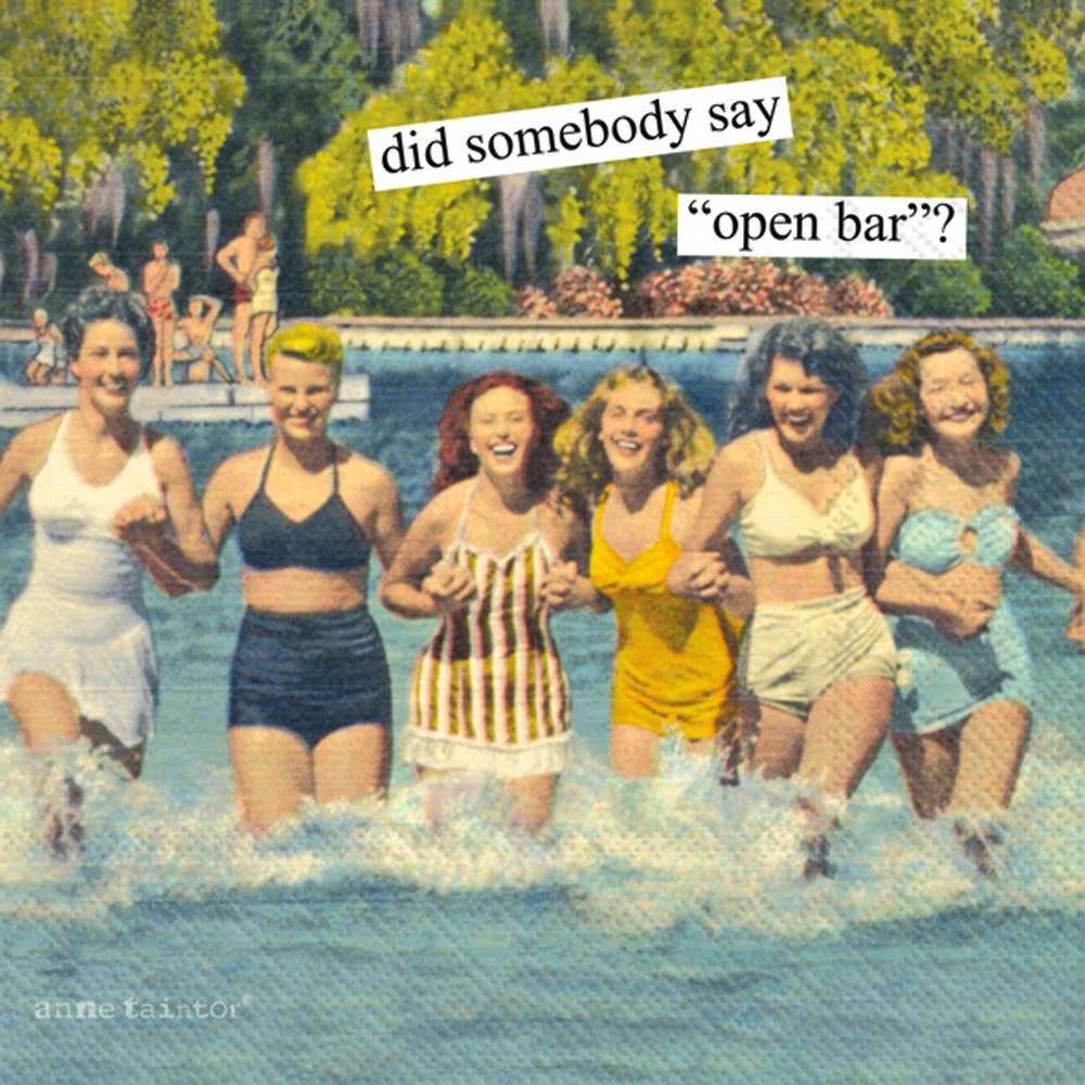 Paper Cocktail Napkins Pack of 20 Anne Taintor Open Bar