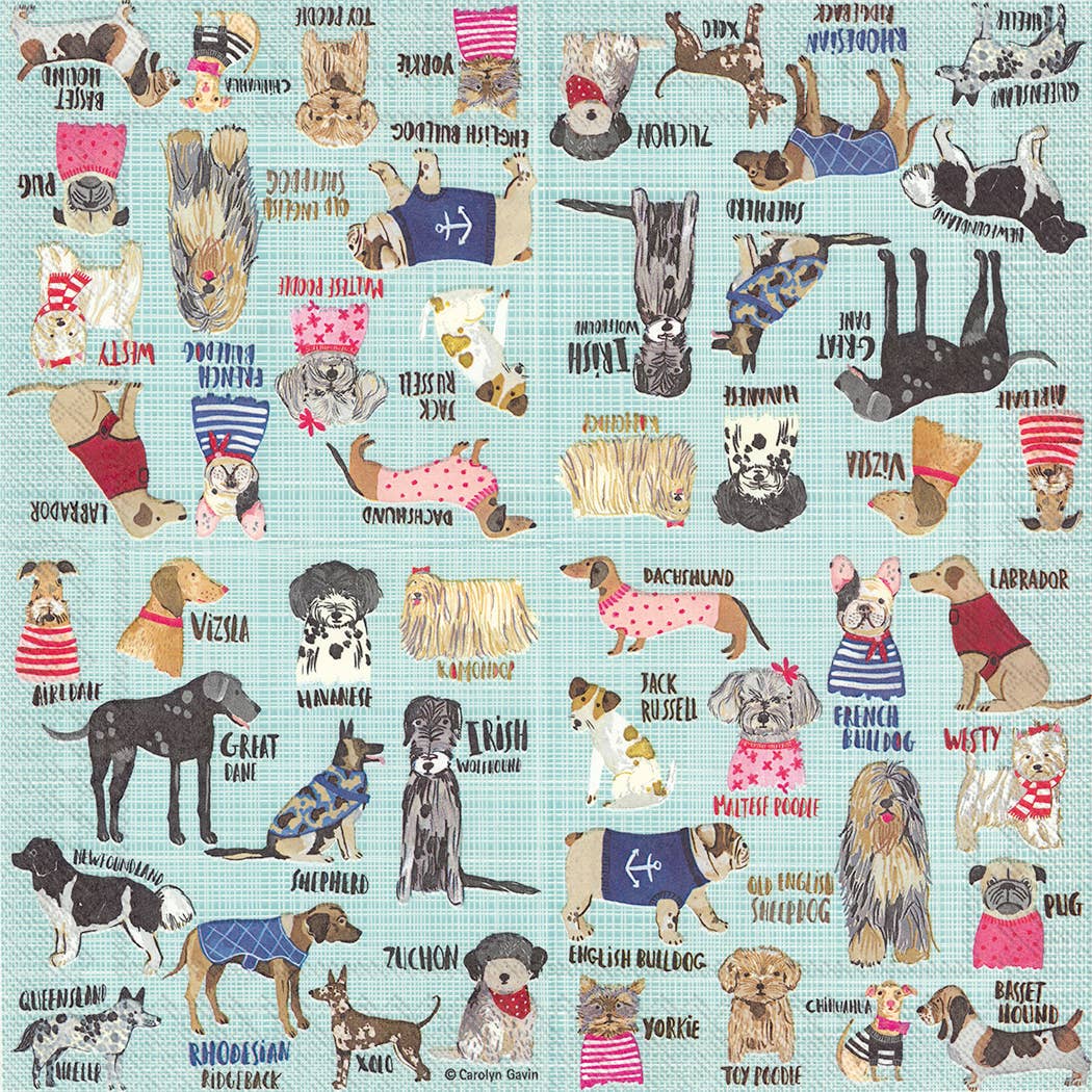 Paper Lunch Napkins 20 Count Hot Dogs
