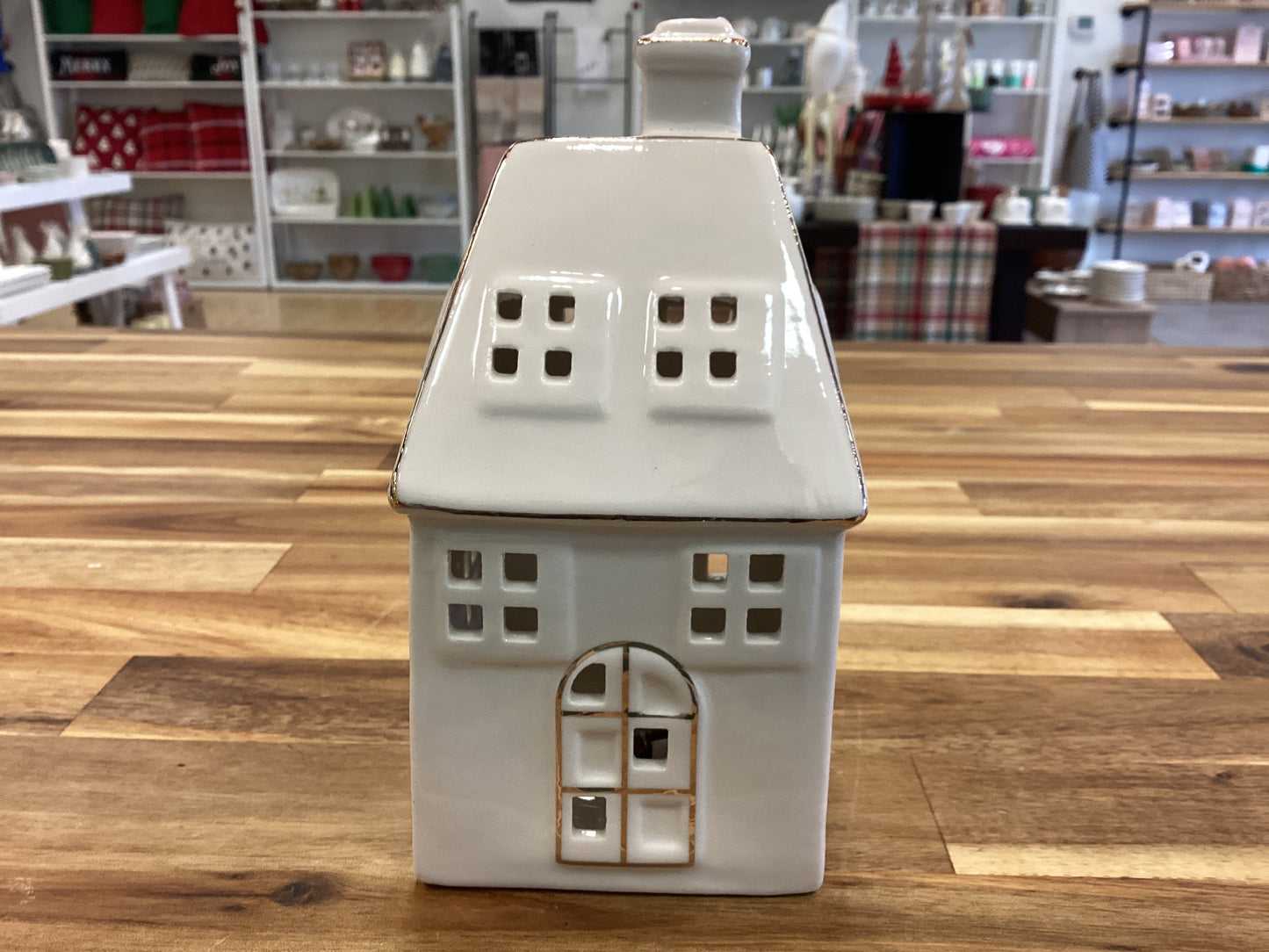 LED light up house, x-large