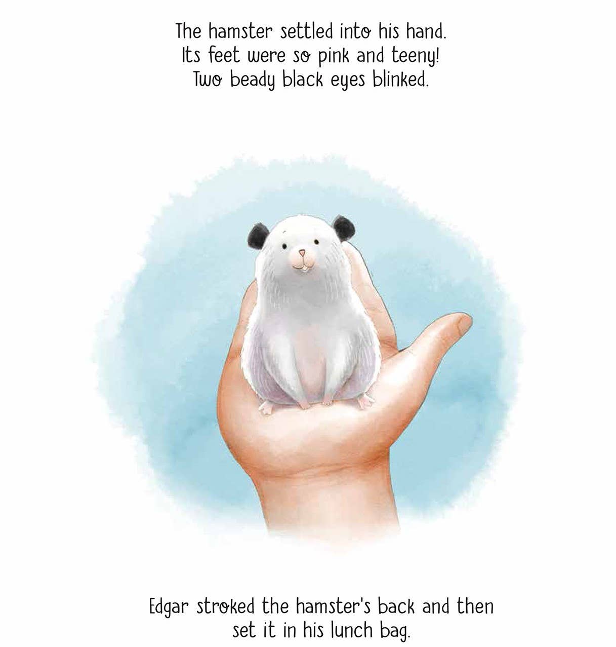 Hanukkah Hamster picture book