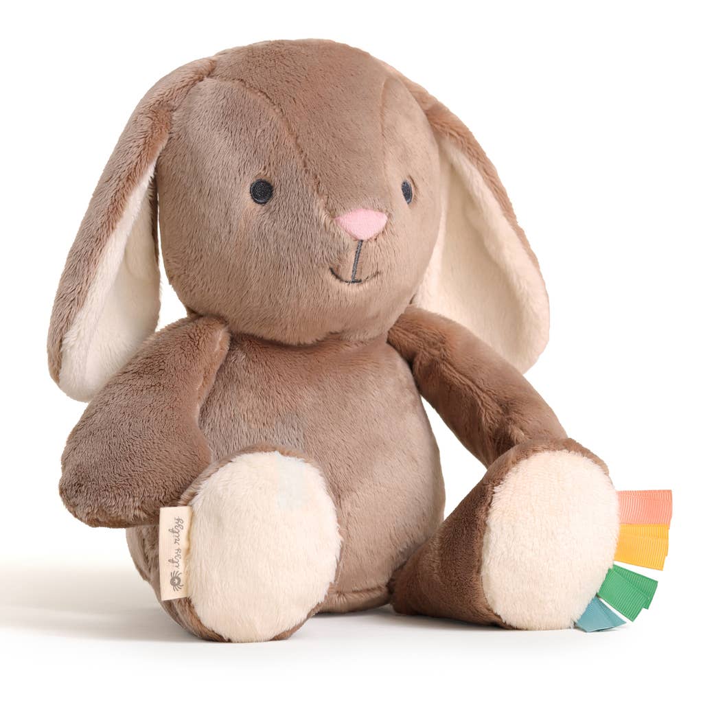 *NEW* Sweetie Snuggles™ Plush: Cactus