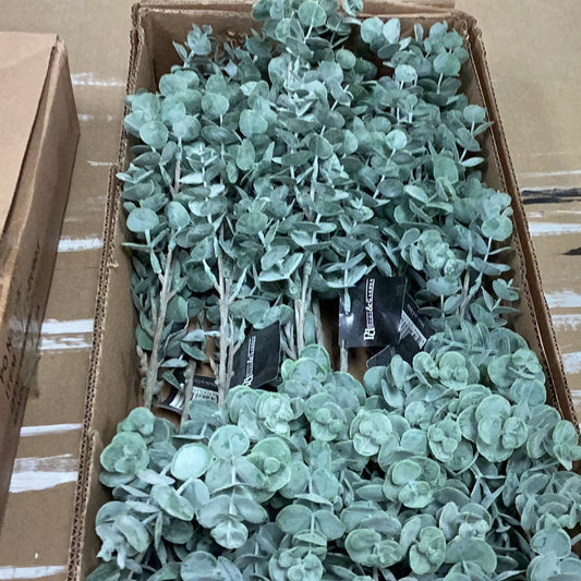 24.4” eucalyptus