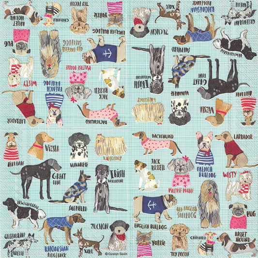 Paper Lunch Napkins 20 Count Hot Dogs